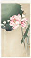 Small Songbird and Large Flowering Lotus by Ohara Shoson (1877 - 1945)