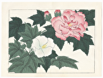 Autumn Flowers by Tomioka Tessai (1836 - 1924)
