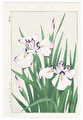Purple-edged White Irises by Kawarazaki Shodo (1889 - 1973)
