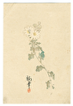 Offered in the Fuji Arts Clearance - only $24.99! by Meiji era artist (not read)