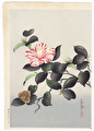 Camellia by Bakufu Ohno (1888 - 1976)