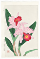 http://www.fujiarts.com/japanese-prints/DUPshodo/orchidp_002f.jpg